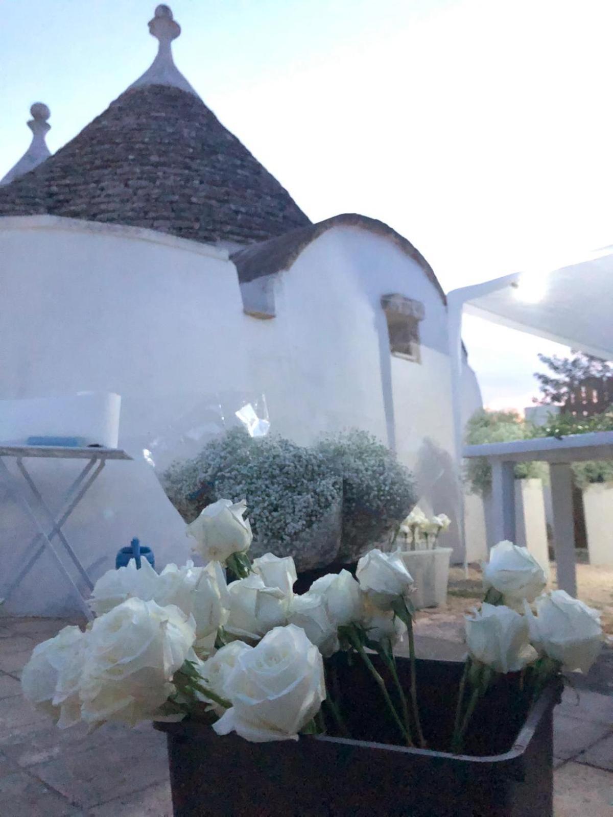 マルティナ・フランカ Trullo Trilli Pugliaヴィラ エクステリア 写真