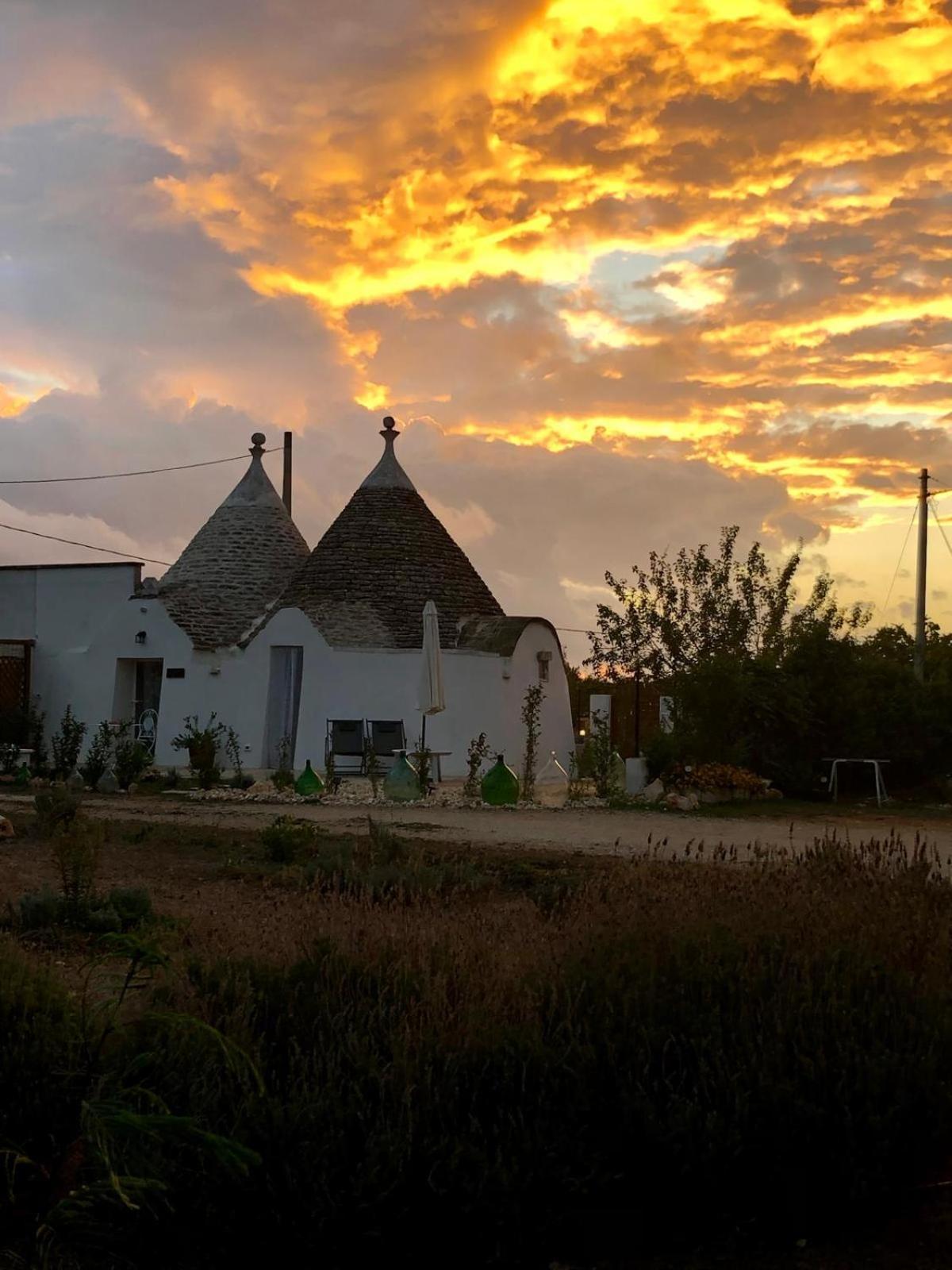 マルティナ・フランカ Trullo Trilli Pugliaヴィラ エクステリア 写真